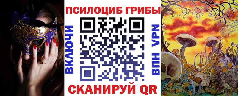 Псилоцибиновые грибы Cubensis  ссылка на мегу ONION  даркнет телеграм  Катав-Ивановск 